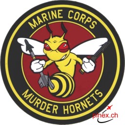 Bild von US Marine Corps Murder Hornets FA-18 Abzeichen Patch PVC-Rubber